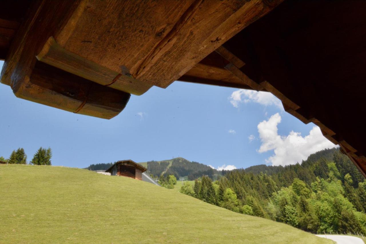 Appartement Oberschernthann Hopfgarten im Brixental Εξωτερικό φωτογραφία
