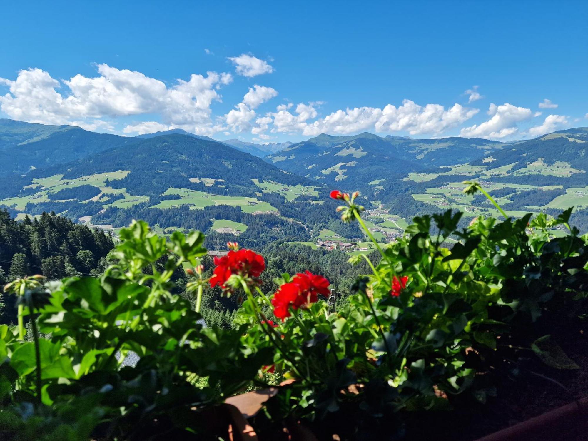 Appartement Oberschernthann Hopfgarten im Brixental Εξωτερικό φωτογραφία