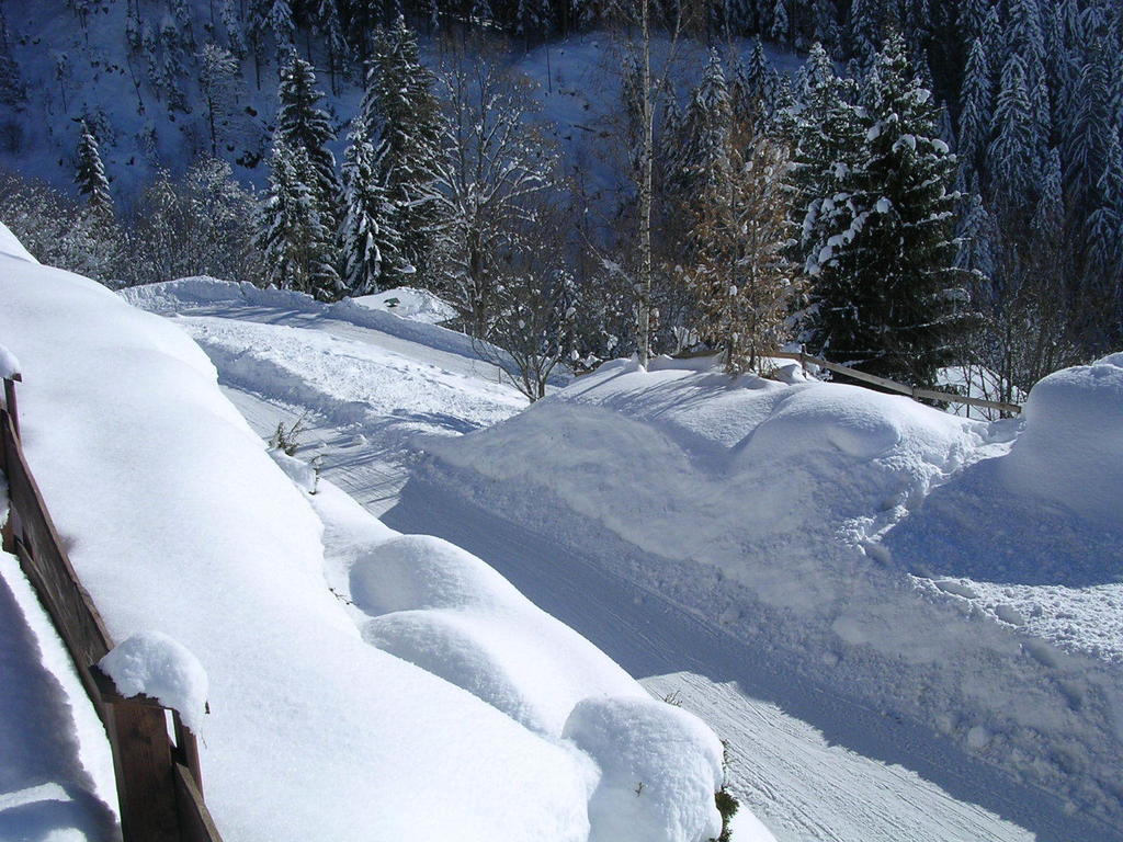 Appartement Oberschernthann Hopfgarten im Brixental Εξωτερικό φωτογραφία